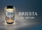BRIESTA 38灯